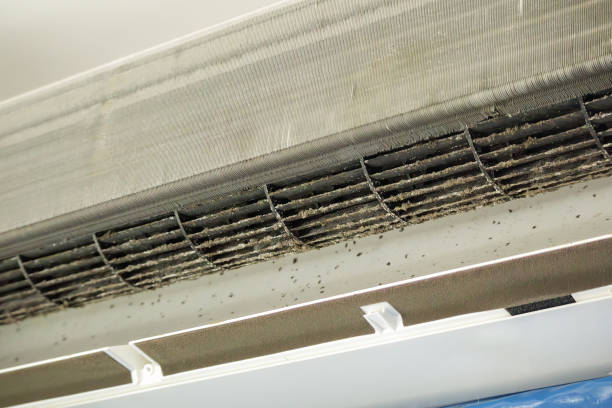 Best Air Vent Cleaning Services  in Pretty Bayou, FL